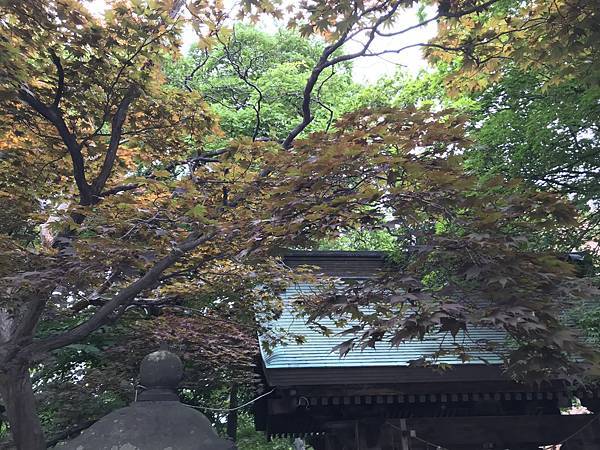 2023暑假三合一北海道行Day3-1：晨遊神社