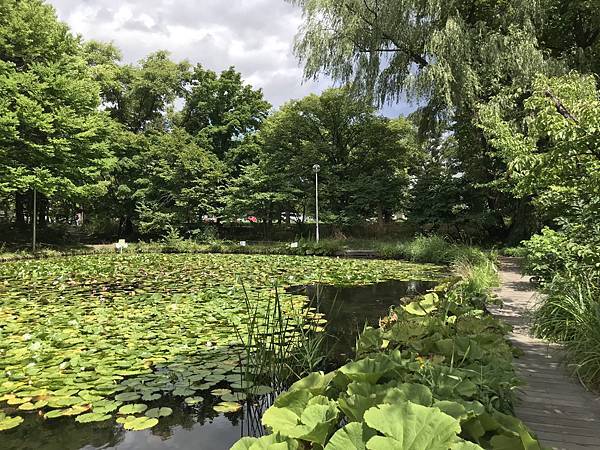 2023暑假三合一北海道行Day5-1：北海道大學散步