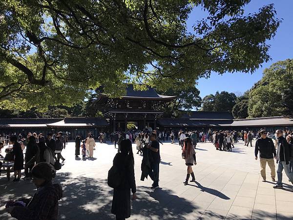 2024東京銀杏行Day2-1：早餐＆明治神宮