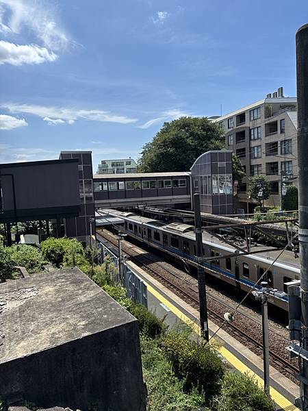 2025暑假東京、函館行 Day2-2：井之頭公園