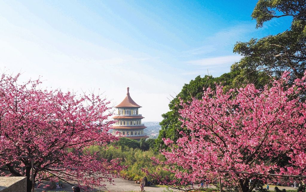 【新北淡水 | 景點】今年的第一場櫻色浪漫❀天元宮 | 淡水雲門星巴克 | 大樹書房 @ Maggie的吃喝玩樂地圖* :: 痞客邦 ::
