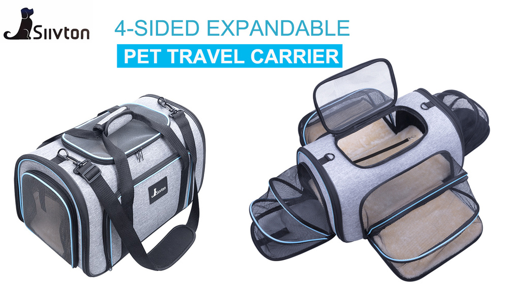 81oUlOcfj5L.jpg 81oUlOcfj5L.jpg