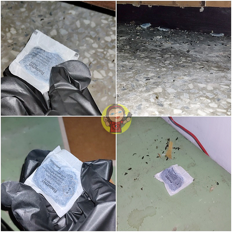 【體驗】滅鼠推薦《中西購安心》拜耳鼠剋命-滅鼠老鼠藥，鼠界致
