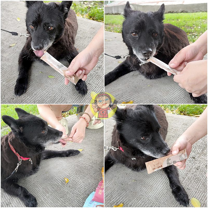 【體驗】寵物獎勵零食開箱《寵心出發》泥好天然營養蔬果肉泥，嚴