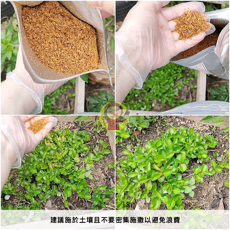 【體驗】台灣品牌《中西購安心》夜安寧除蟲系列-菊有效 除蟲液