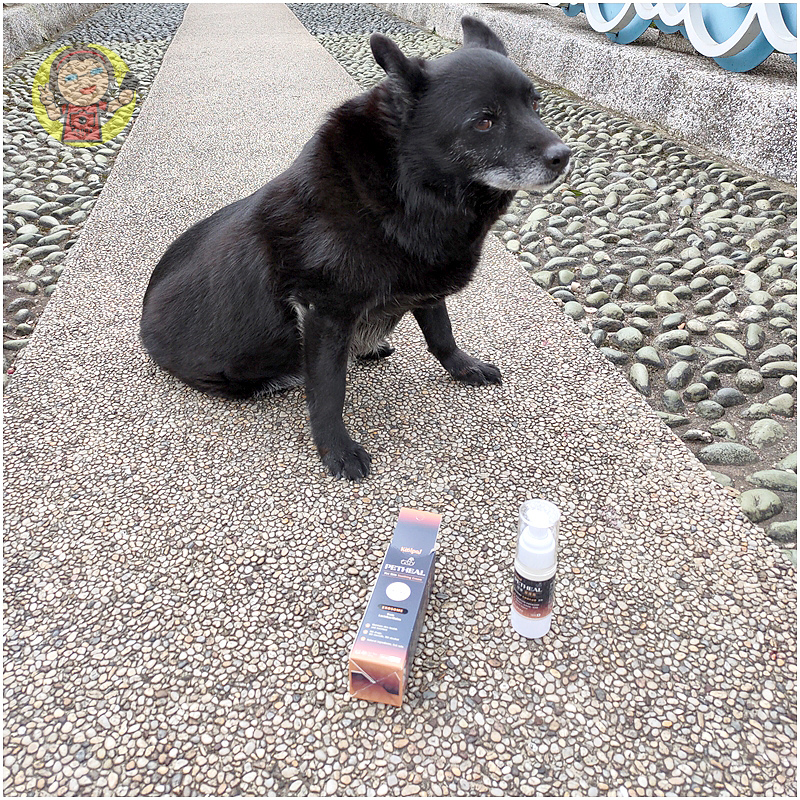 【體驗】寵物萬用修護霜《可沛寵藥KoolPal》寵護霜，添加