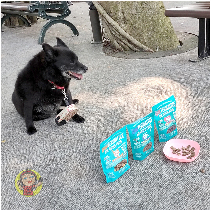 【體驗】紐西蘭寵物飼料推薦/全齡狗飼料分享《洛特夫》風乾主食