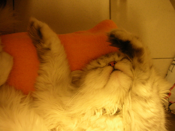 DSCN3553.JPG