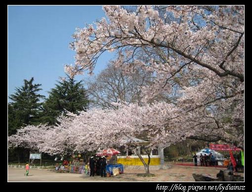 中山公園