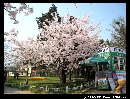 中山公園