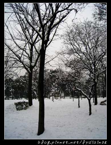 拙政園雪景