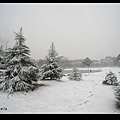 名碩雪景2008/01/26