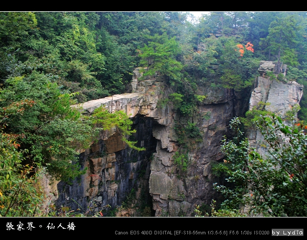 張家界：仙人橋