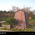 武漢東湖櫻花園 