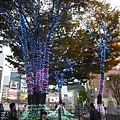 新宿街頭已經點上聖誕燈飾了