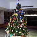 法文班的聖誕樹