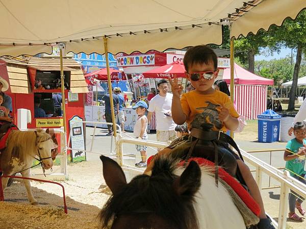 IMG_8500 IMG_8500