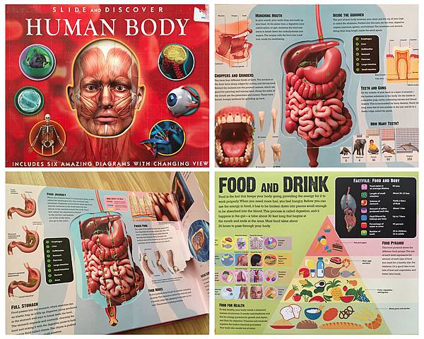 human body human body