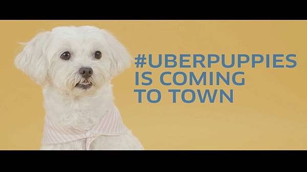 Uber puppy Singapore_170419_0002.jpg