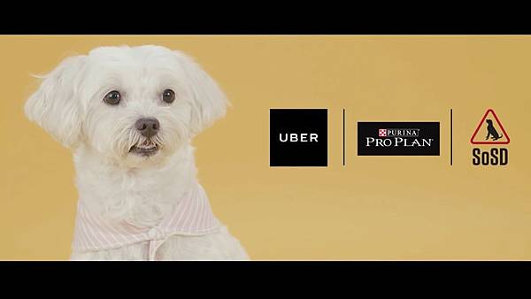 Uber puppy Singapore_170419_0005.jpg