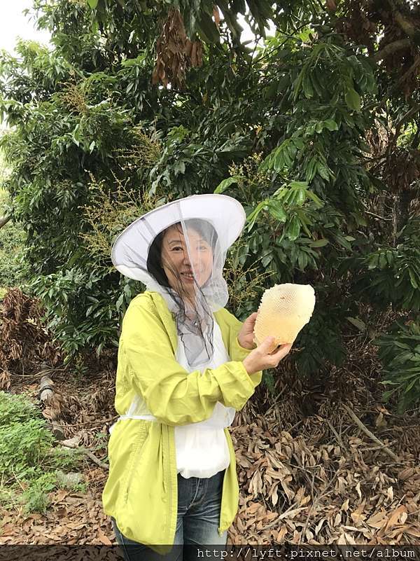 Citybee諾亞蜂舟 城市養蜂劉伯烏蜂蜜龍眼蜜 Uber博士劉伯烏最新line Id 多元計程車專家劉伯烏 Uber多元計程車司機求助無門找劉伯烏各種問題就能迎刃而解