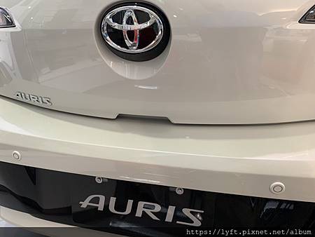 AURIS AURIS.jpg