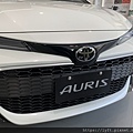 AURIS.jpg