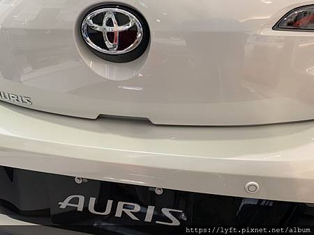 AURIS A.jpg