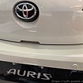 AURIS A.jpg