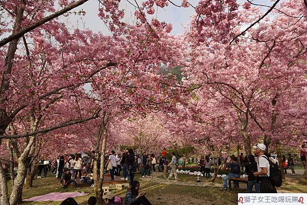 DSC07003.JPG DSC07003.JPG