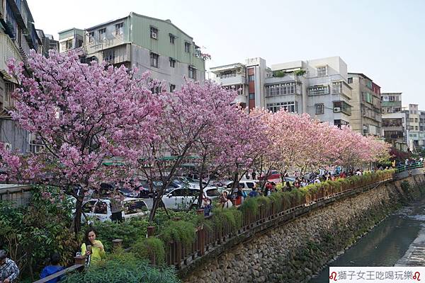 DSC09339.JPG DSC09339.JPG