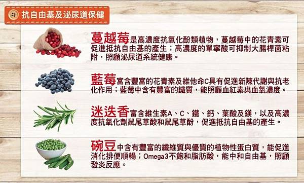 1540187006466.jpg 試用