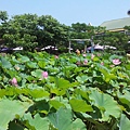 2011-07-24 11.38.27.jpg