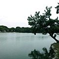 20111017_120842.jpg