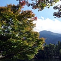 20111019_140358.jpg