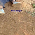 first step.JPG