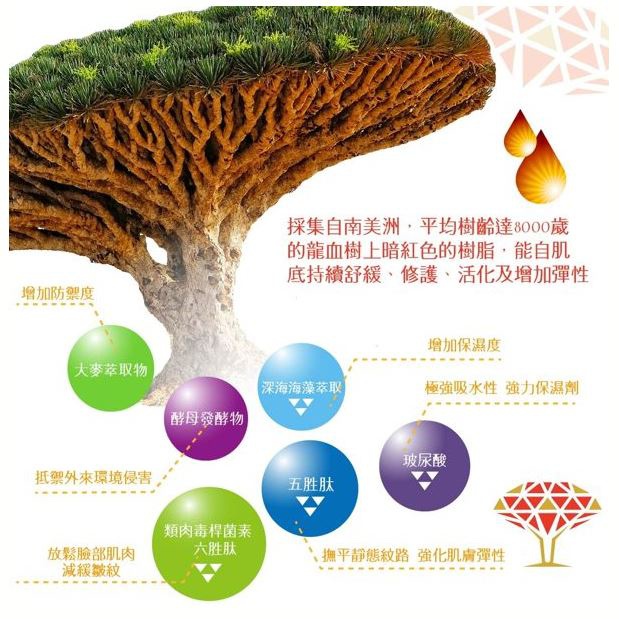 擷取.JPG