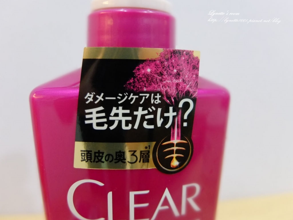 DSCF9221.JPG