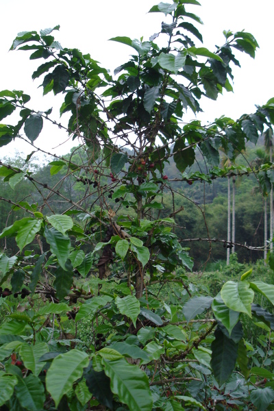 DSC00718.JPG