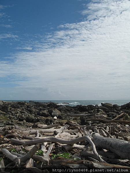 2011-11-05 066台東-小野柳.JPG