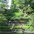 2011-11-04 016台東-知本國家森林遊樂區.JPG