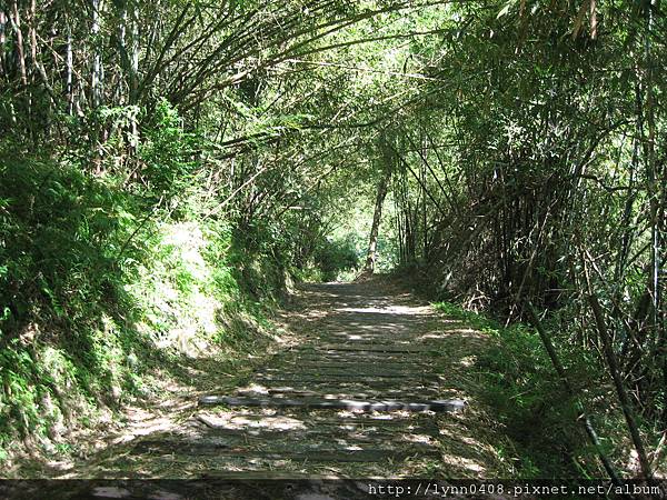 2011-11-04 076台東-知本國家森林遊樂區.JPG