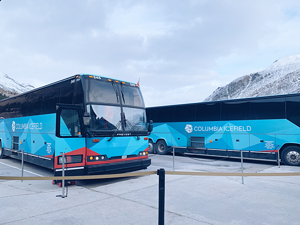 Glacier View Lodge 冰川景觀飯店