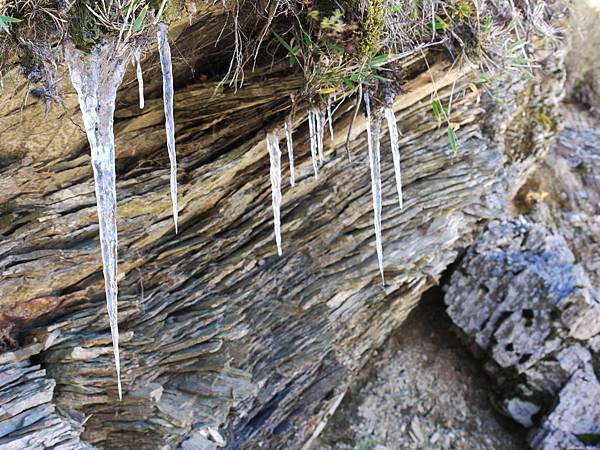 雖然沒下雪，但有結冰咧！！