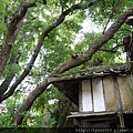 【通霄】神社03