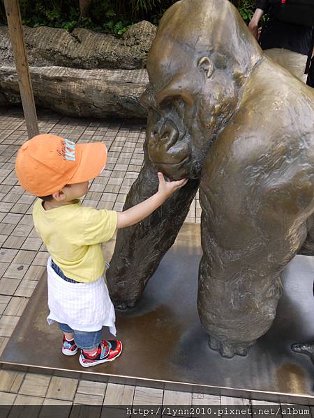 東京-Day 2-上野動物園 (22)