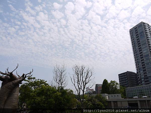 東京-Day 2-上野動物園 (76)