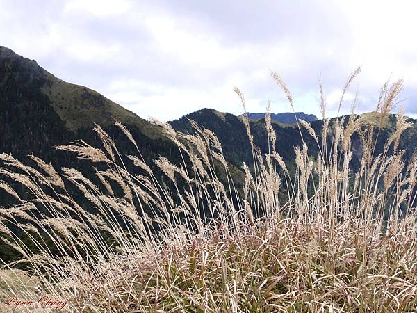 合歡山、太魯閣01