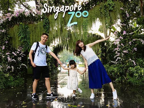 IMG_9496.JPG IMG_9496.JPG