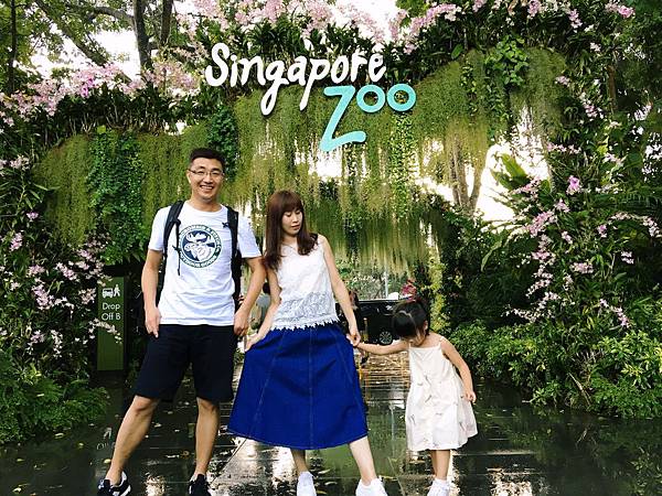 IMG_9532.JPG IMG_9532.JPG